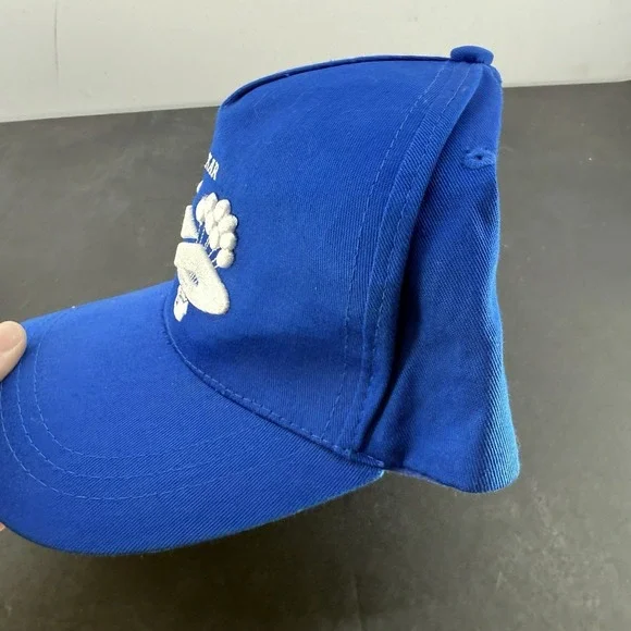 Disney Pixar UP Vintage Movie Hat One Size Fits All  Blue Hat - Picture 5 of 5